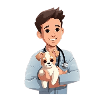 Vet Illustration